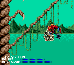 Fighting Masters screenshot 5 for Sega Mega Drive